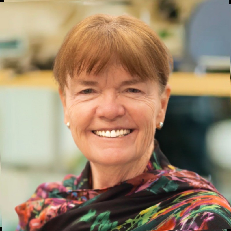 Prof. Bridget Carragher