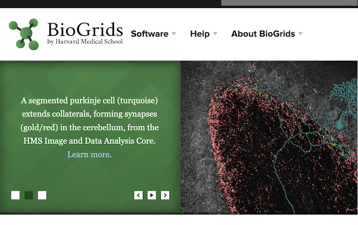 BioGrids Webiste